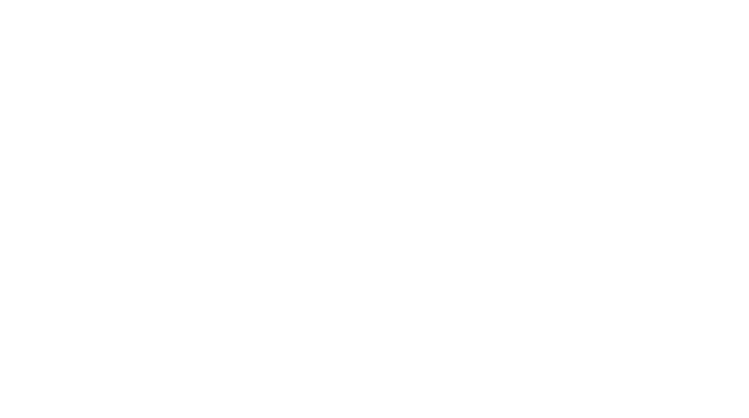 Top Carts 413